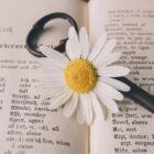 Où acheter des Fleurs de CBD en France ? Où acheter des Fleurs de CBD en France ?