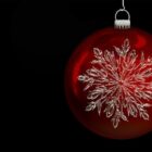 Où faire un achat de fleur de CBD ?