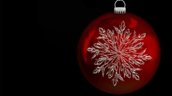 Où faire un achat de fleur de CBD ?