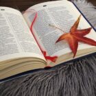 Quel sont les marque sûre pour le CBD ? Quel sont les marque sûre pour le CBD ?