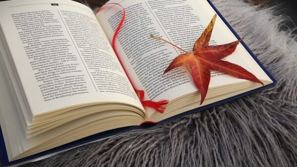 Quel sont les marque sûre pour le CBD ?