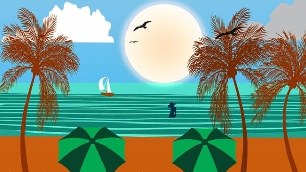 Quelle est la durée de l'effet du CBD ?