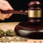 Est-ce que le CBD est vendu en pharmacie ? est-ce-que-le-cbd-est-vendu-en-pharmacie